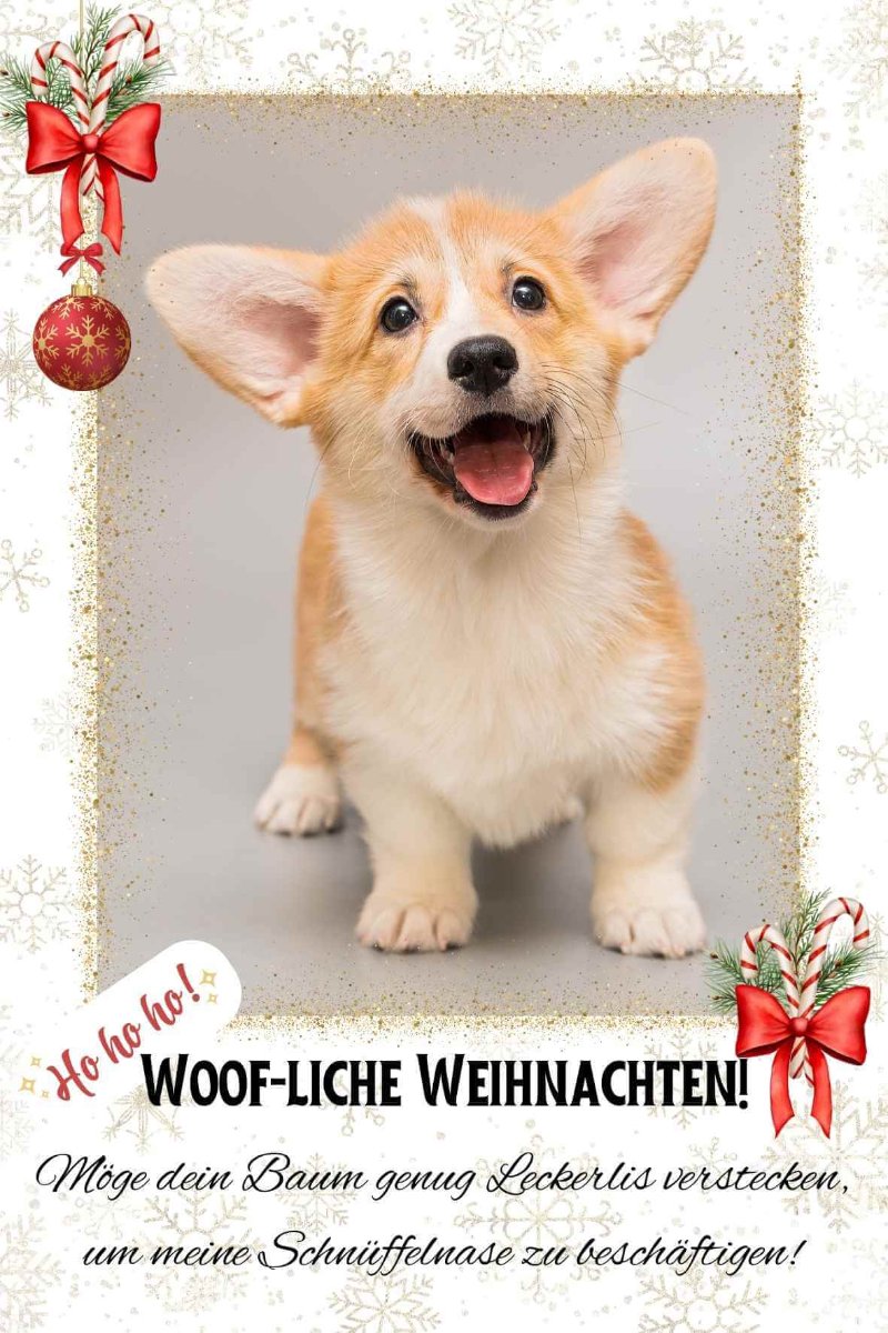 Lustiges Magnetfoto zu Weihnachten mit fröhlichem Hund und festlichem Accessoire, personalisierbar im Format 10x15 cm