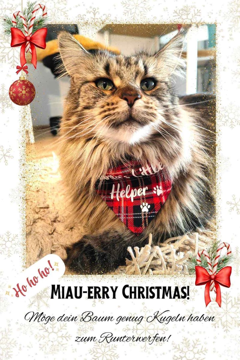 Lustiges Magnetfoto zu Weihnachten mit süßer Katze und festlichem Accessoire, personalisierbar im Format 10x15 cm