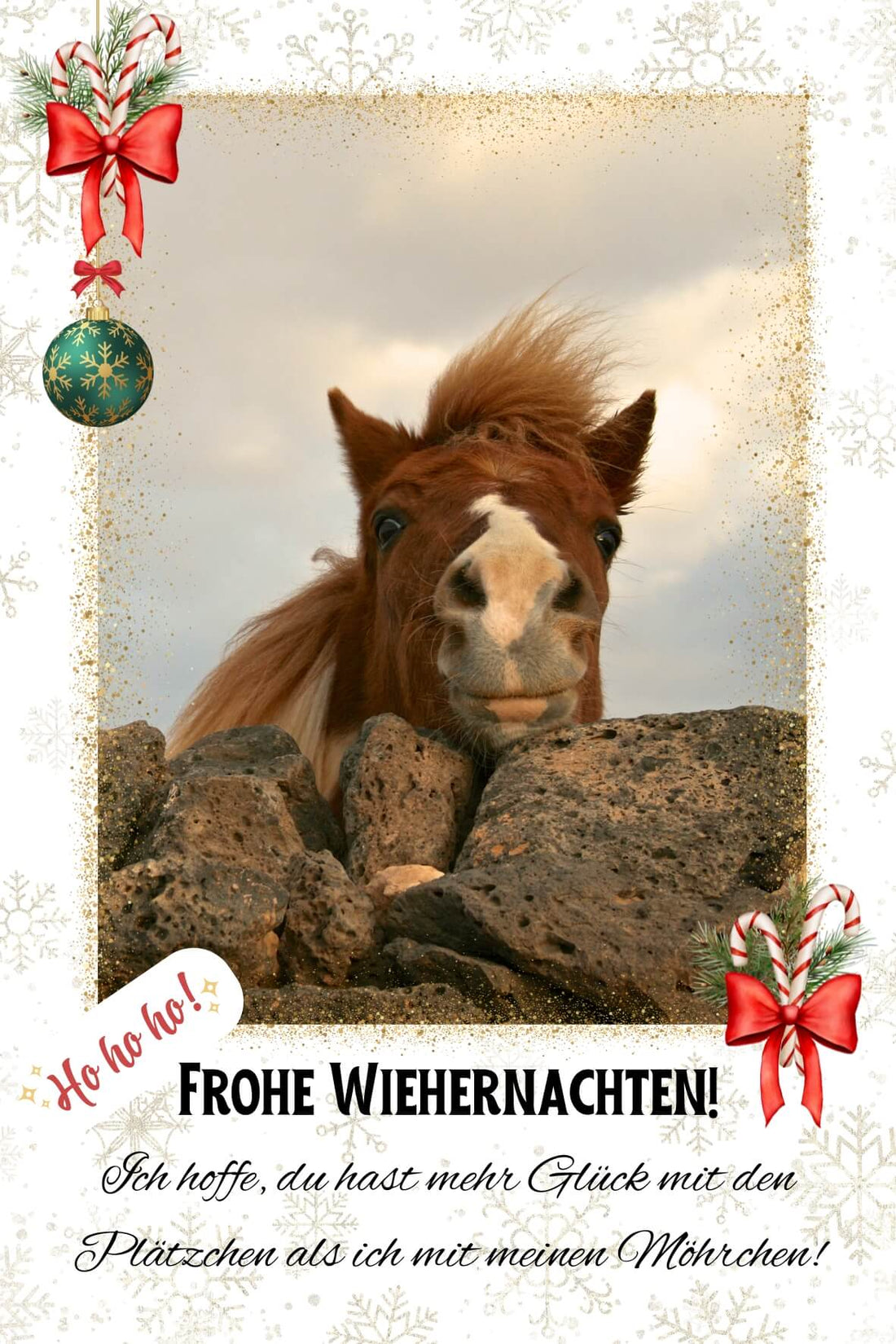 Lustiges Magnetfoto zu Weihnachten mit fröhlichem Pferd und festlichem Accessoire, personalisierbar im Format 10x15 cm